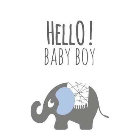 label olifant boy