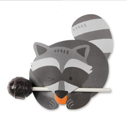 lollykaartje wasbeer