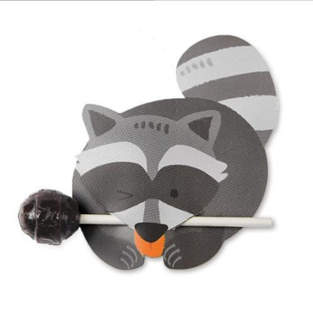 lollykaartje wasbeer