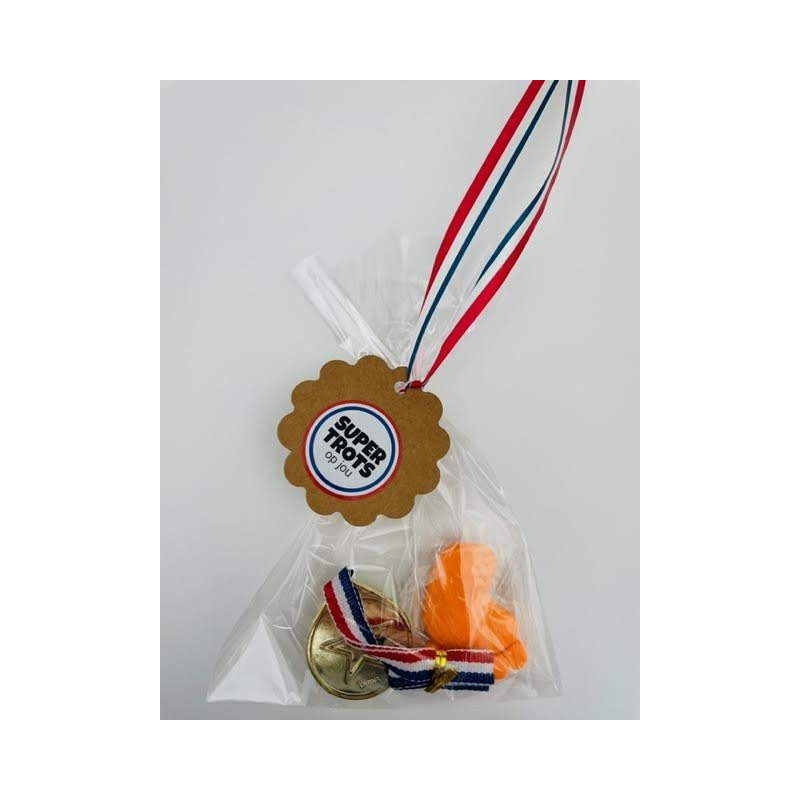 avondvierdaagse fantastisch gedaan