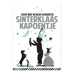 ansichtkaart sinterklaas jongen