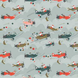 Kadozakje pakjesvliegtuig