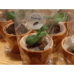 sticker hoera insect