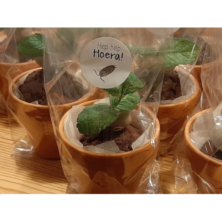 sticker hoera insect