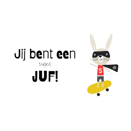 minikaart superjuf skateboard