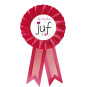 button rozet beste juf