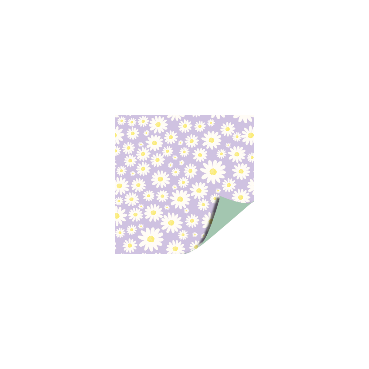 kadopapier madeliefjes