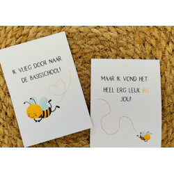 minikaart bijtje vlieg basisschool