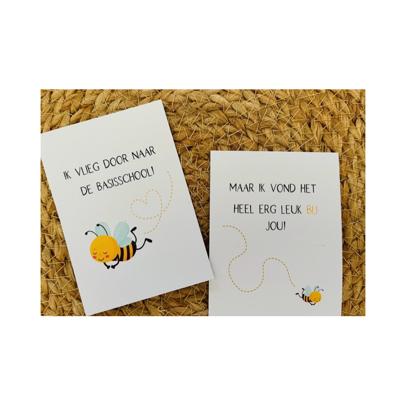 minikaart bijtje vlieg basisschool