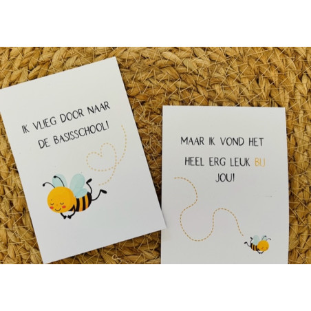 minikaart bijtje vlieg basisschool