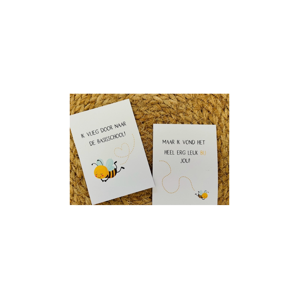 minikaart bijtje vlieg basisschool