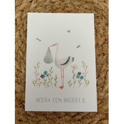 Mini kaart broertje ooievaar