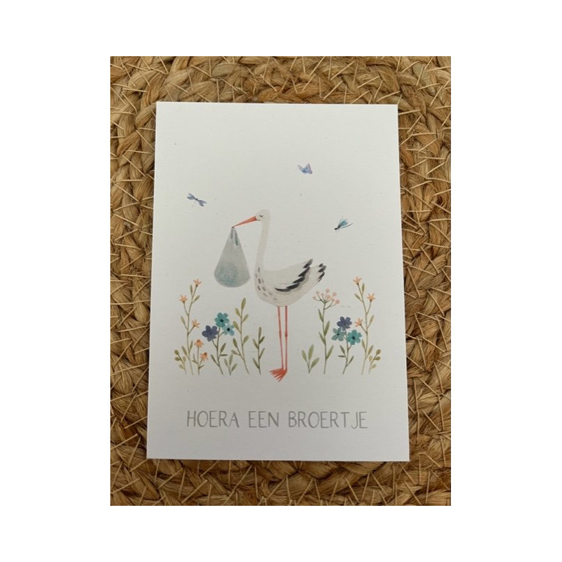 Mini kaart broertje ooievaar