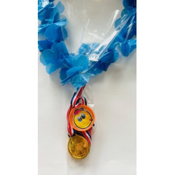 avondvierdaagse wandelkampioen