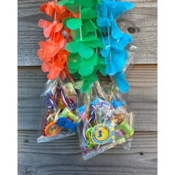 avondvierdaagse wandelkampioen