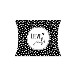 gondeldoosje lieve juf