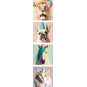 stickermix unicorn party animal pastel