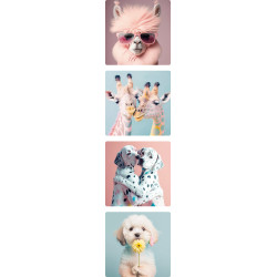 lama stickers vierkant