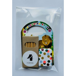 traktatie safari leeuw kleurboekje