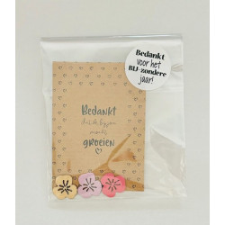 kadosetje zomerbloemen groeien