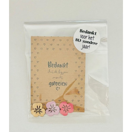 kadosetje zomerbloemen groeien