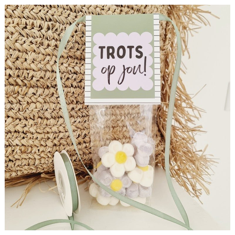 feestzakje trots op jou