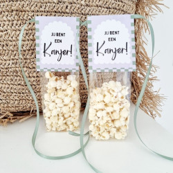 feestzakje jij bent een kanjer