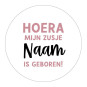 stickervel zusje geboren roze