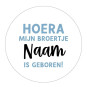 gepersonaliseerd broertje geboren blauw